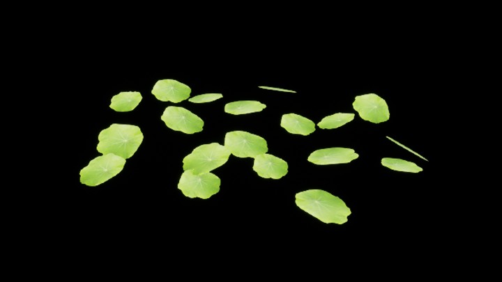 UE项目资源_模型资源_草1397