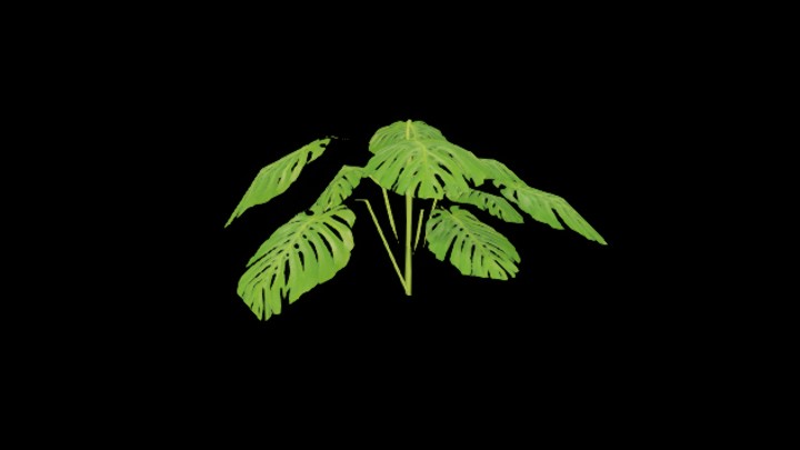 UE项目资源_模型资源_草1454