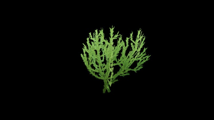 UE项目资源_模型资源_草1461