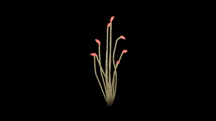 UE项目资源_模型资源_草1472