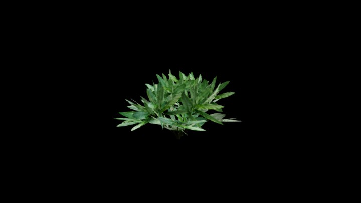 UE项目资源_模型资源_草1483