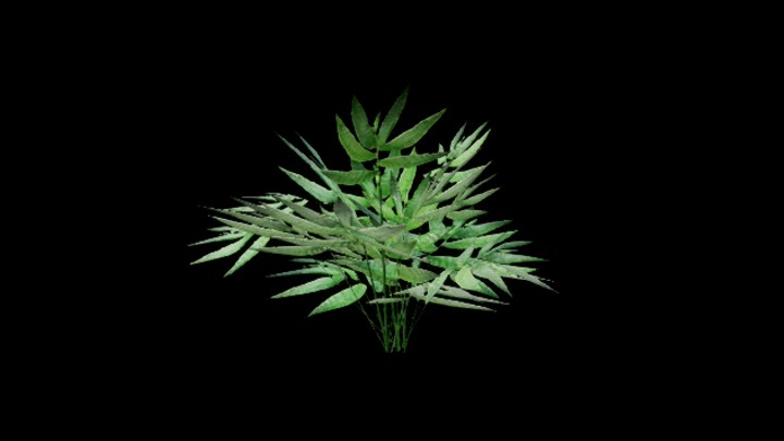 UE项目资源_模型资源_草1495