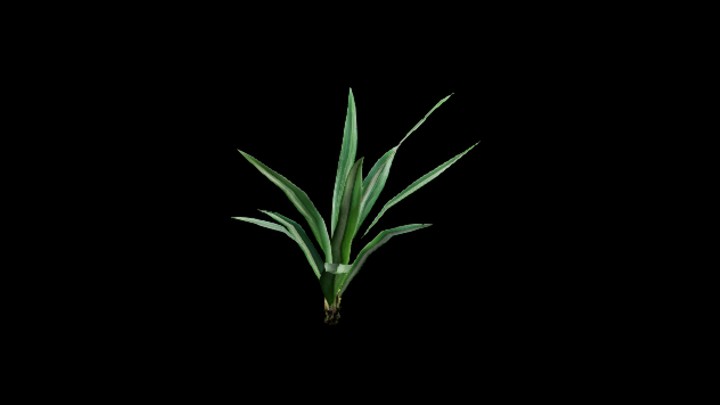 UE项目资源_模型资源_草1498