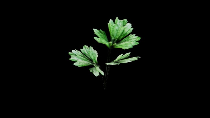 UE项目资源_模型资源_草1500