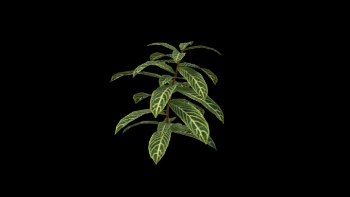 UE项目资源_模型资源_草1504