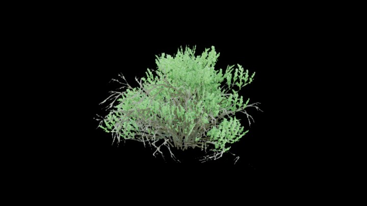 UE项目资源_模型资源_草1508