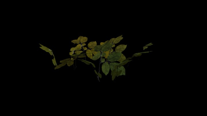 UE项目资源_模型资源_草1521