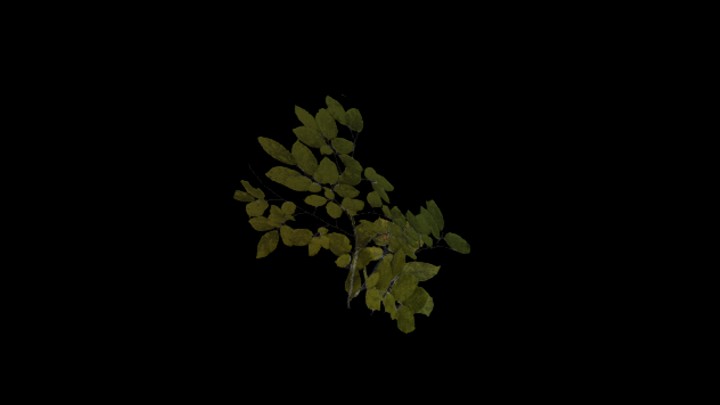 UE项目资源_模型资源_草1529