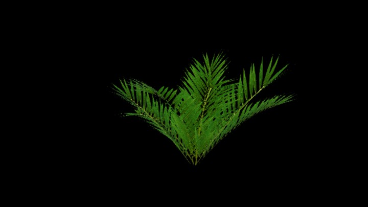 UE项目资源_模型资源_草1532