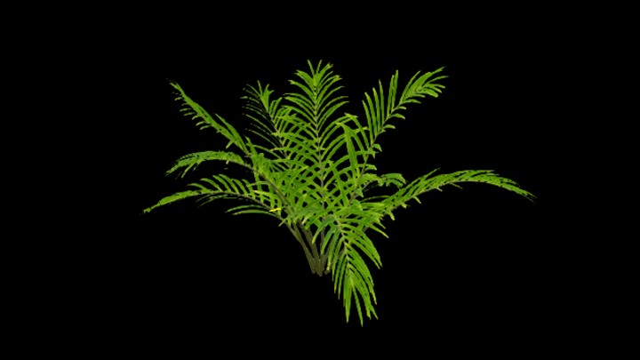 UE项目资源_模型资源_草1534