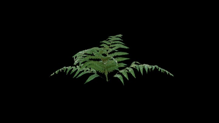 UE项目资源_模型资源_草1556