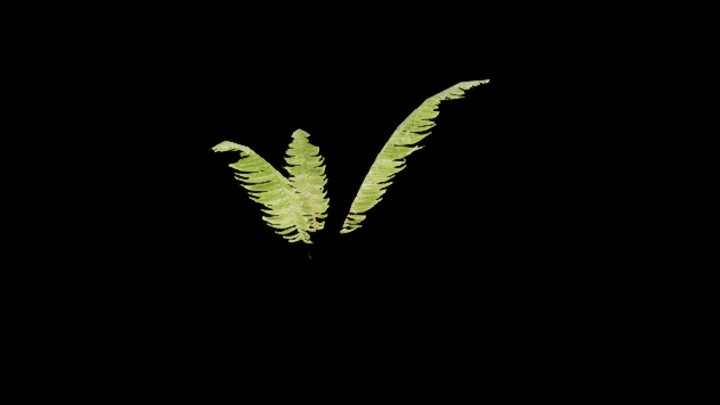 UE项目资源_模型资源_草1559