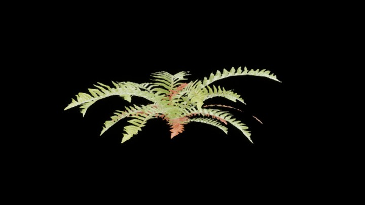 UE项目资源_模型资源_草1562