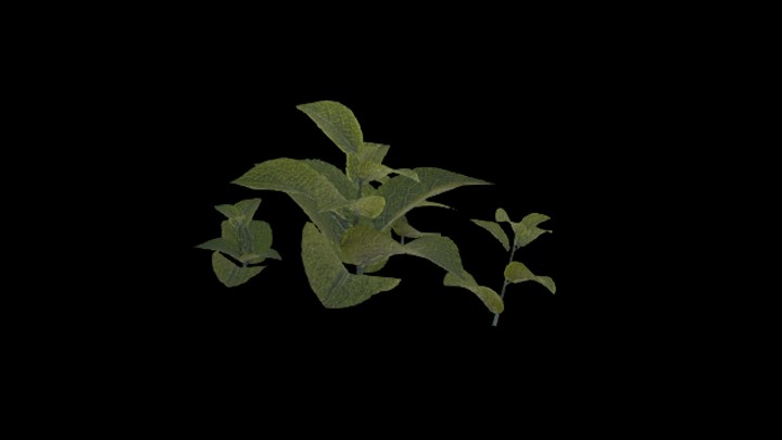 UE项目资源_模型资源_草1605