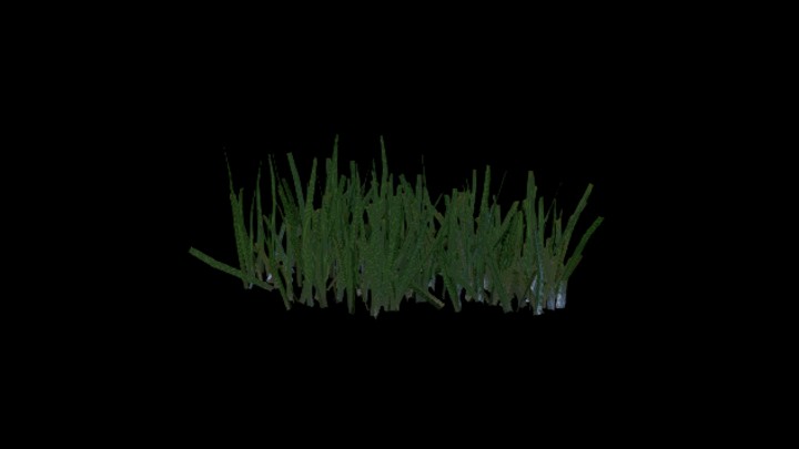 UE项目资源_模型资源_草1631