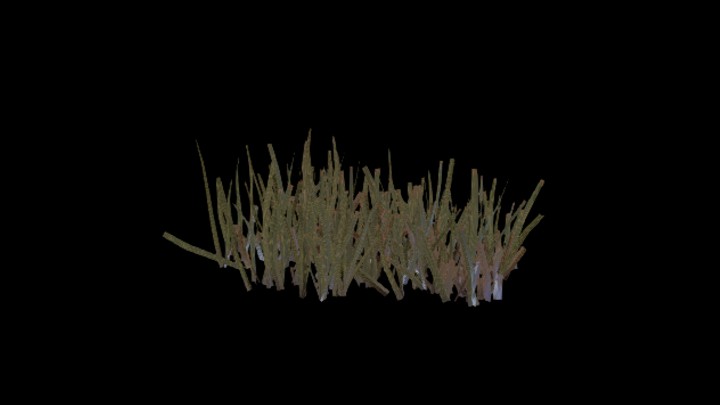 UE项目资源_模型资源_草1635