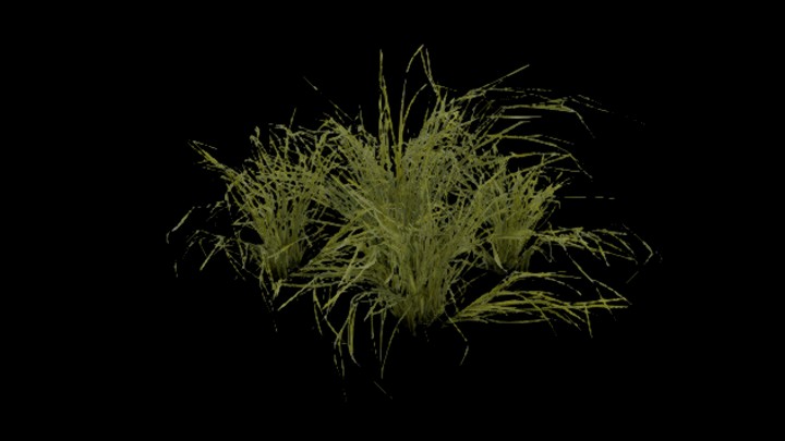 UE项目资源_模型资源_草1648