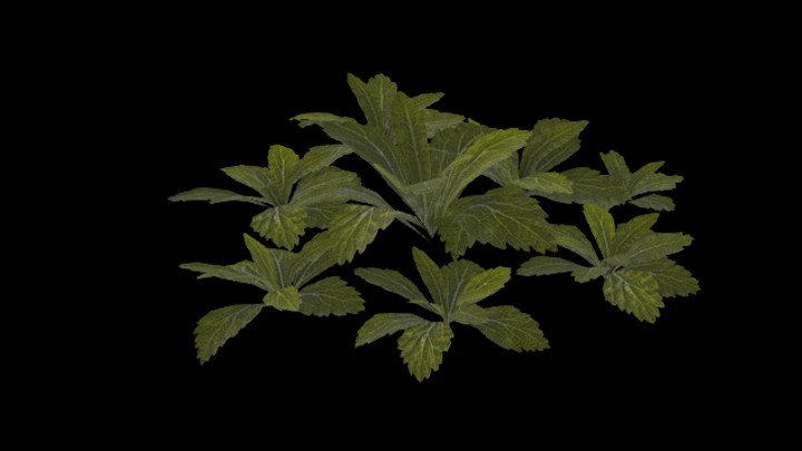 UE项目资源_模型资源_草1661