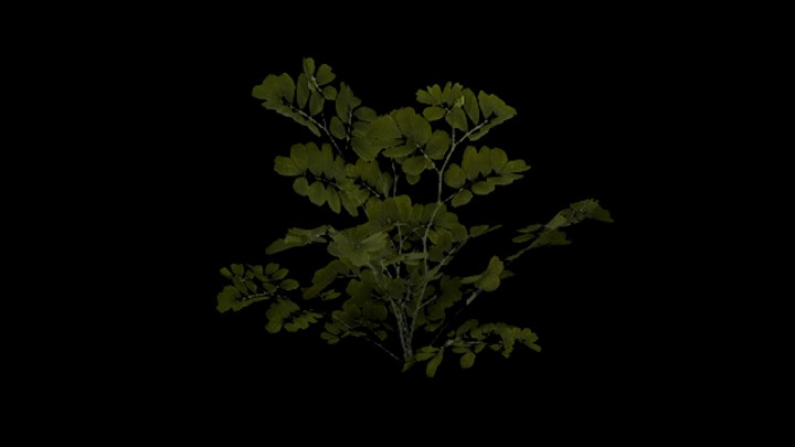 UE项目资源_模型资源_草1677