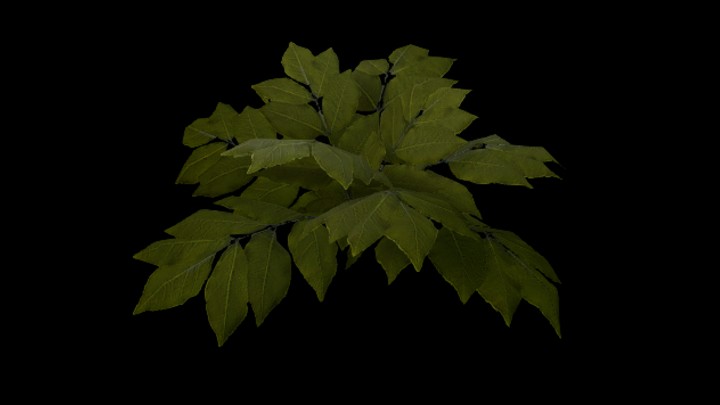 UE项目资源_模型资源_草1679