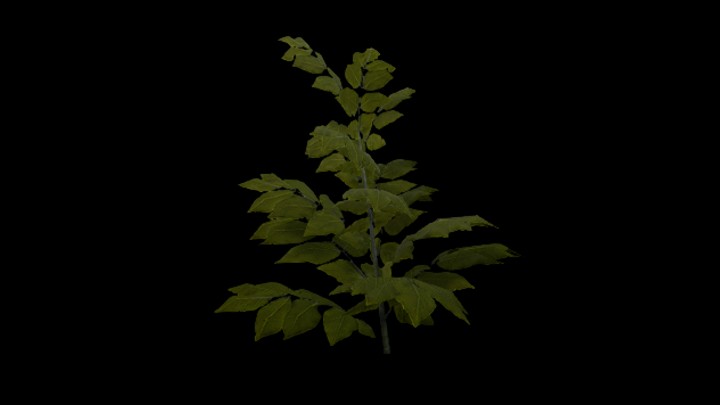 UE项目资源_模型资源_草1680