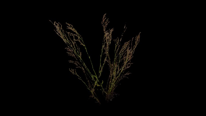 UE项目资源_模型资源_草1681