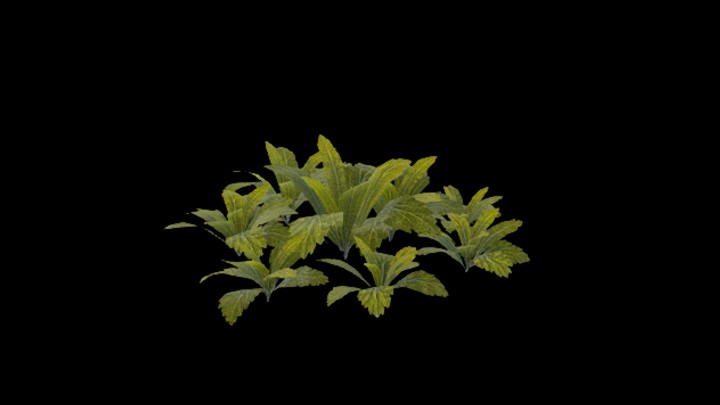 UE项目资源_模型资源_草1697