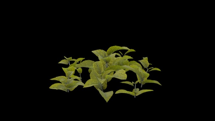 UE项目资源_模型资源_草1698