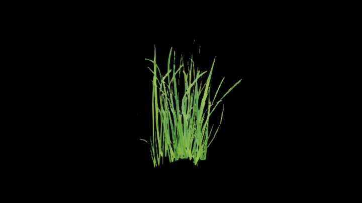 UE项目资源_模型资源_草1717