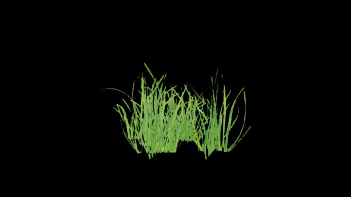 UE项目资源_模型资源_草1724