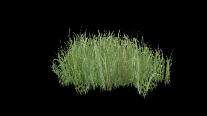 UE项目资源_模型资源_草1731