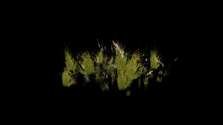 UE项目资源_模型资源_草1736