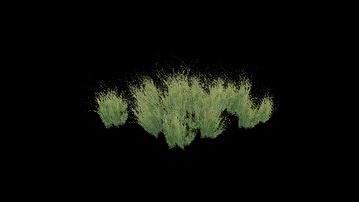 UE项目资源_模型资源_草1738