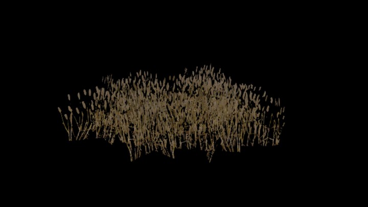 UE项目资源_模型资源_草1746