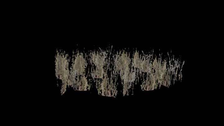 UE项目资源_模型资源_草1748