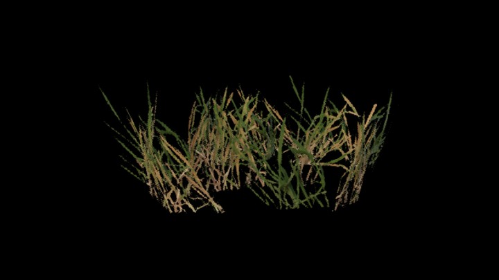 UE项目资源_模型资源_草1750