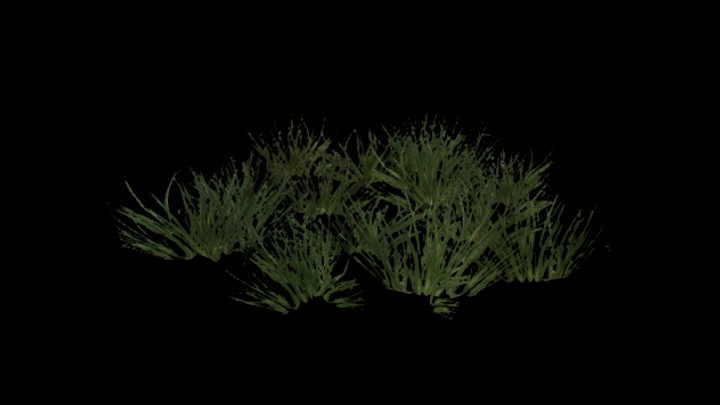 UE项目资源_模型资源_草1756