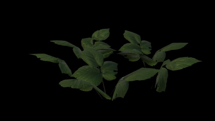 UE项目资源_模型资源_草1761