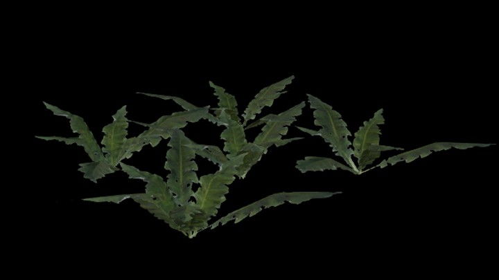 UE项目资源_模型资源_草1765