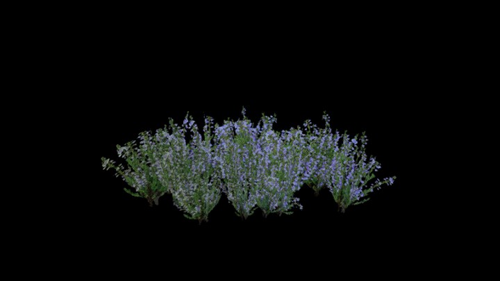 UE项目资源_模型资源_草1773