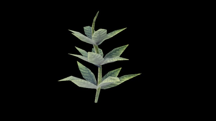 UE项目资源_模型资源_草1794