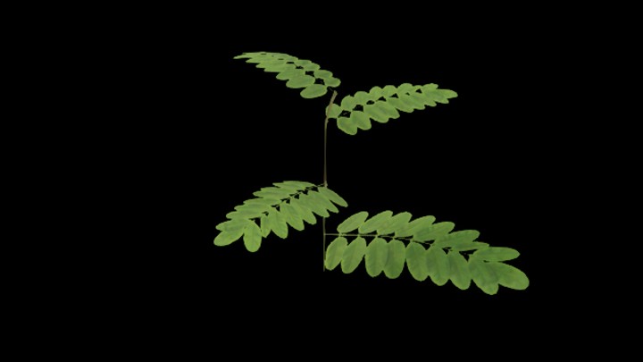 UE项目资源_模型资源_草1821