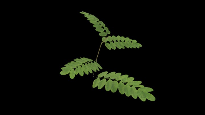 UE项目资源_模型资源_草1824