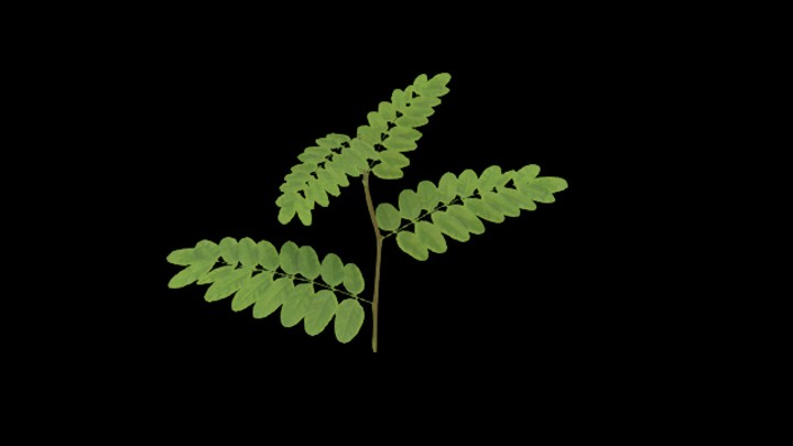 UE项目资源_模型资源_草1827