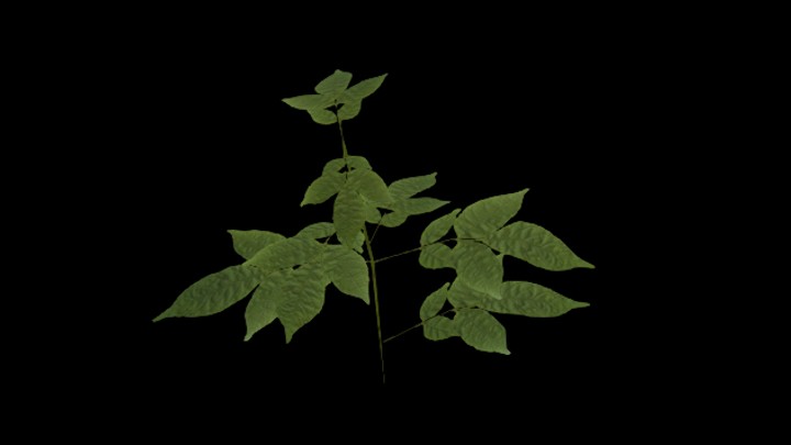 UE项目资源_模型资源_草1839