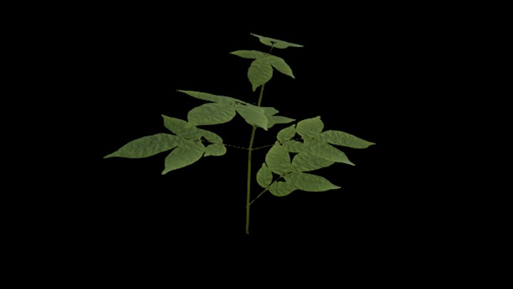 UE项目资源_模型资源_草1842