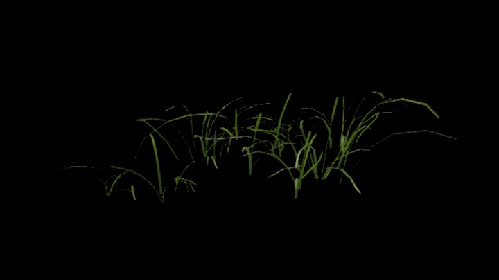 UE项目资源_模型资源_草1892