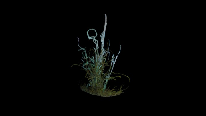 UE项目资源_模型资源_草1899