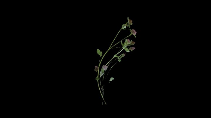 UE项目资源_模型资源_草1903