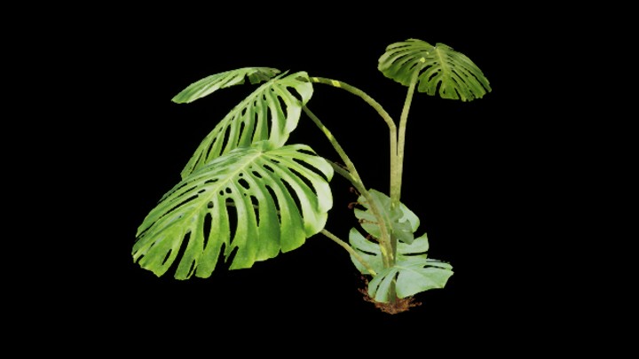 UE项目资源_模型资源_草975